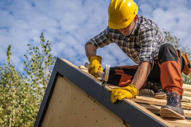 Best Roof Maintenance and Cleaning  in Mason City, IA